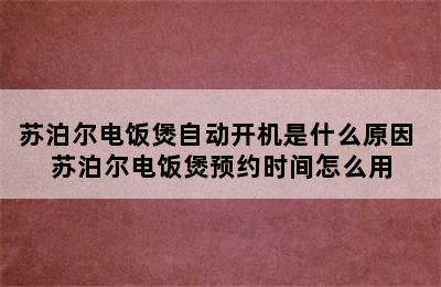 苏泊尔电饭煲自动开机是什么原因 苏泊尔电饭煲预约时间怎么用